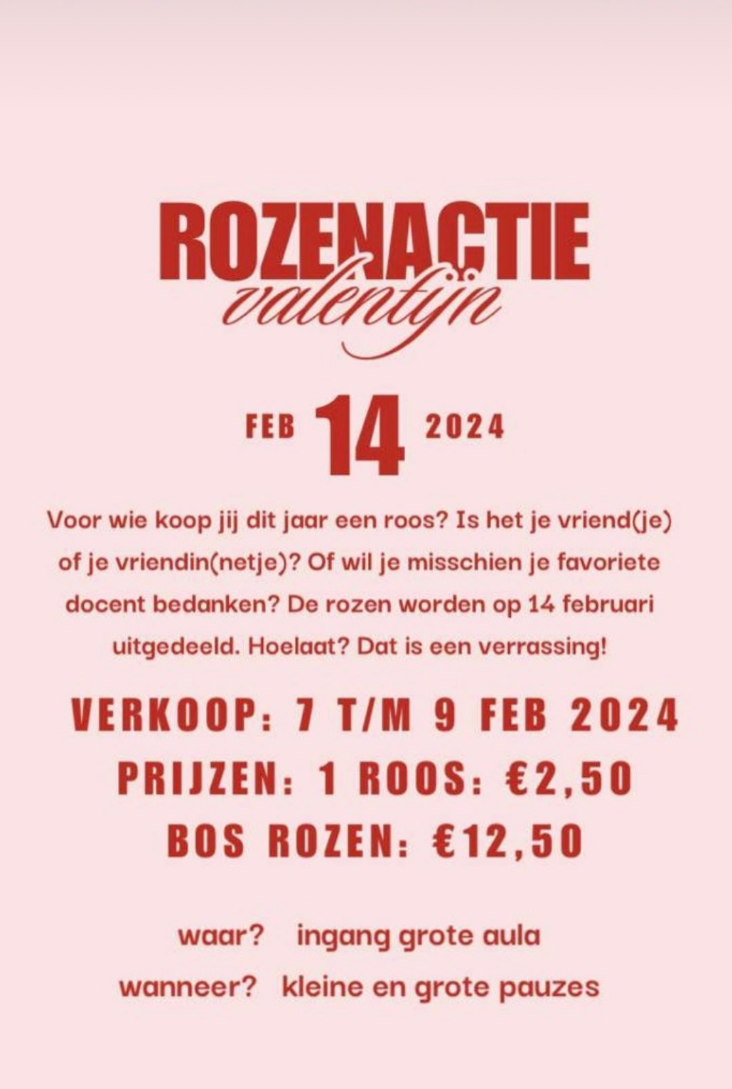 Valentijnsrozen