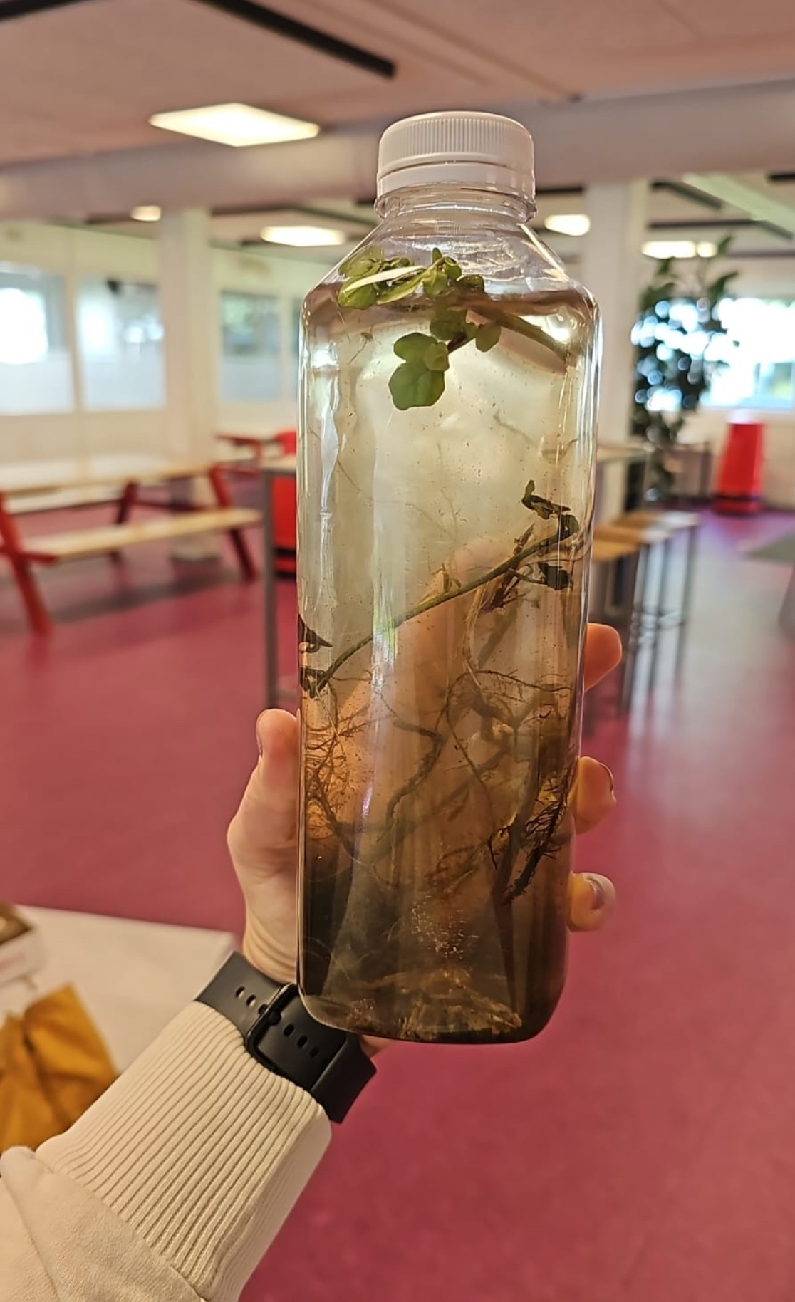 Biodag 5 vwo