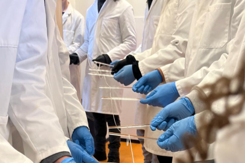 Battle of the polymers